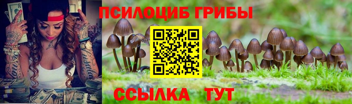 Псилоцибиновые грибы Psilocybe  Вход с VPN  Углич  Псилоцибиновые грибы Psilocybine cubensis 