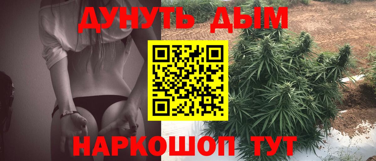 Углич  Бошки Шишки сатива  Каннабис THC 21%  Вход с VPN  Бошки Шишки VHQ 